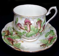 Royal Albert Jack in a Pulpit pattern circa 1950's