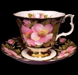 Royal Albert China Provincial Flowers Alberta Rose Footed Cup & Saucer 1975 